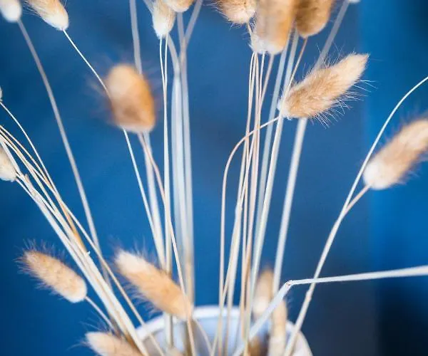L'escale Bleue Annecy
